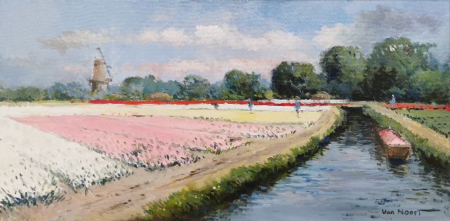 Adriaan van Noort | De Keukenhof, Lisse, olieverf op doek, 40,2 x 80,1 cm, gesigneerd r.o.