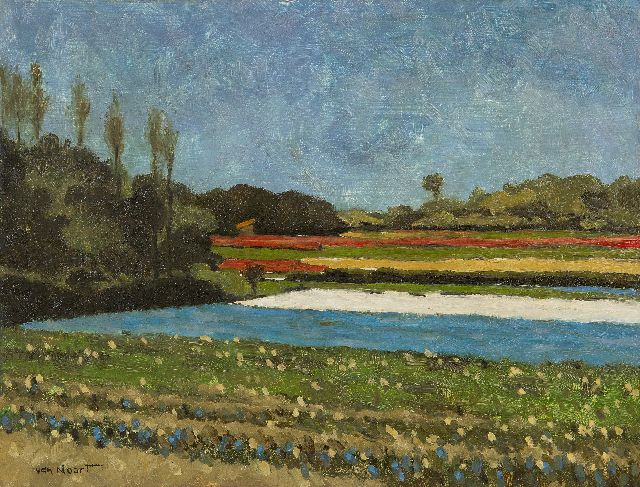 Noort A.C. van | Bloembollenvelden, olieverf op paneel 38,0 x 50,0 cm, gesigneerd l.o.