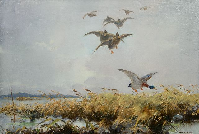 Piet van der Hem | Eendenvlucht, olieverf op doek, 65,8 x 96,4 cm, gesigneerd r.o.