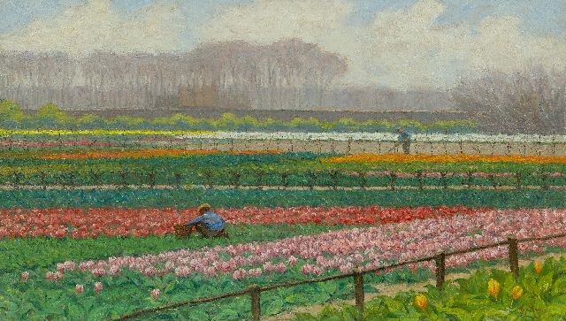 Wilhelm Christiaan Constant Bleckmann | Bollenveld, olieverf op papier op doek op paneel, 49,9 x 86,6 cm, gesigneerd r.o.