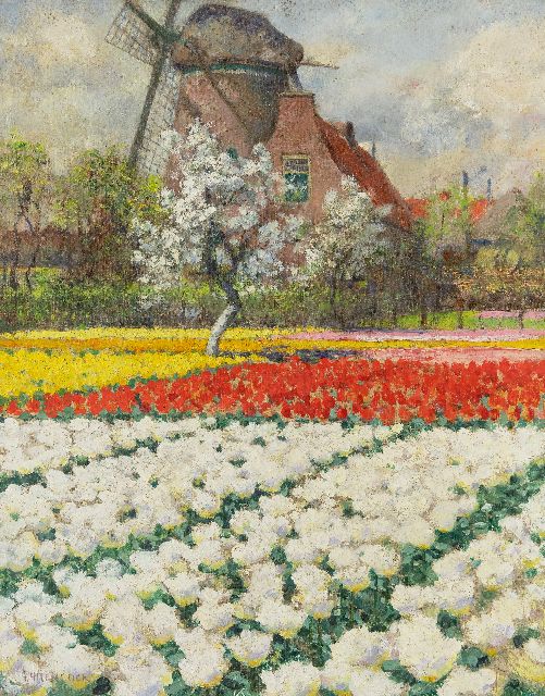 Hitchcock G.  | Double White Tulips, Egmond aan den Hoef, olieverf op doek 55,7 x 43,8 cm, gesigneerd l.o.