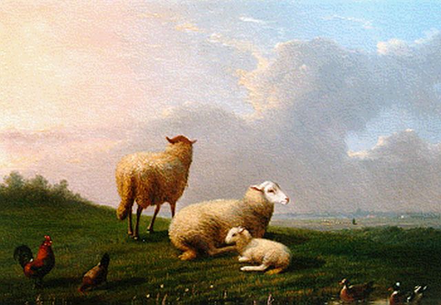 Frans van Severdonck | Schapen, lammetje, kippen en eendjes in weidelandschap, olieverf op doek, 17,6 x 24,0 cm, gesigneerd l.o. en gedateerd 1864