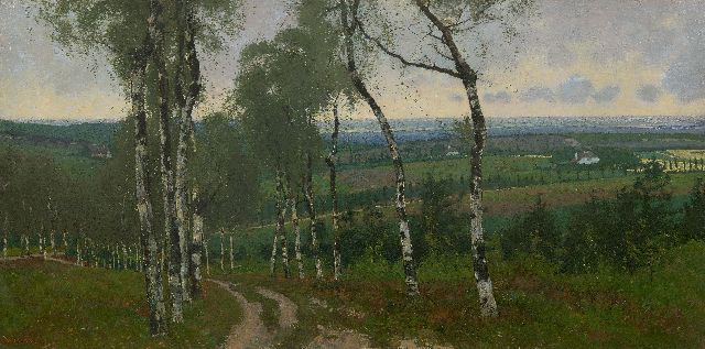 Derk Wiggers | Berkenweg, olieverf op doek, 40,8 x 80,7 cm, gesigneerd l.o. en op spieraam en verso gedateerd 1903