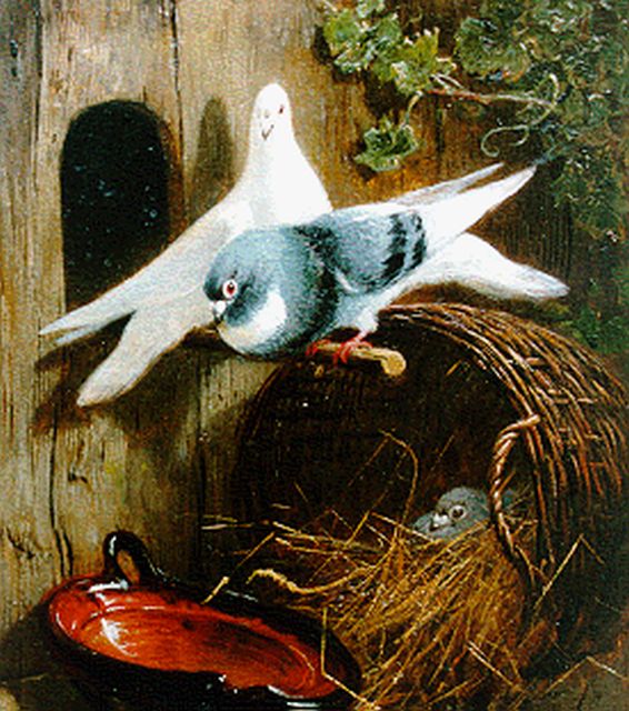 Henriette Ronner-Knip | Drie duiven bij een mand, olieverf op paneel, 19,4 x 15,8 cm, gesigneerd r.o.