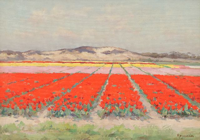 Alex Rosemeier | Bollenvelden bij Wassenaar, olieverf op doek, 35,1 x 50,0 cm, gesigneerd r.o.