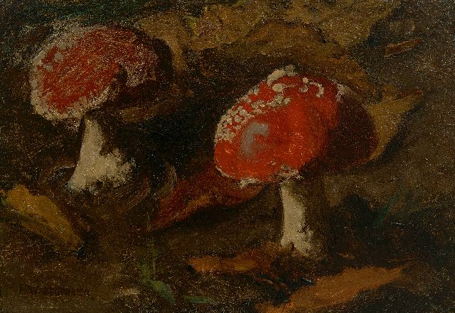 Marie Wandscheer | Vliegenzwammen, olieverf op paneel, 17,4 x 24,9 cm, gesigneerd l.o.