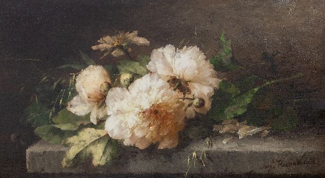Margaretha Roosenboom | Pioenrozen op een stenen plint, olieverf op doek, 40,5 x 71,8 cm, gesigneerd r.o.