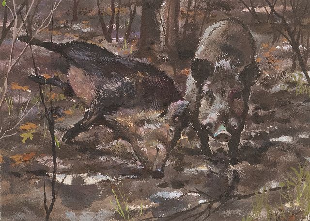 Poortvliet R.  | Twee wroetende wilde zwijnen, Hoge Veluwe, gouache op papier 13,2 x 17,5 cm