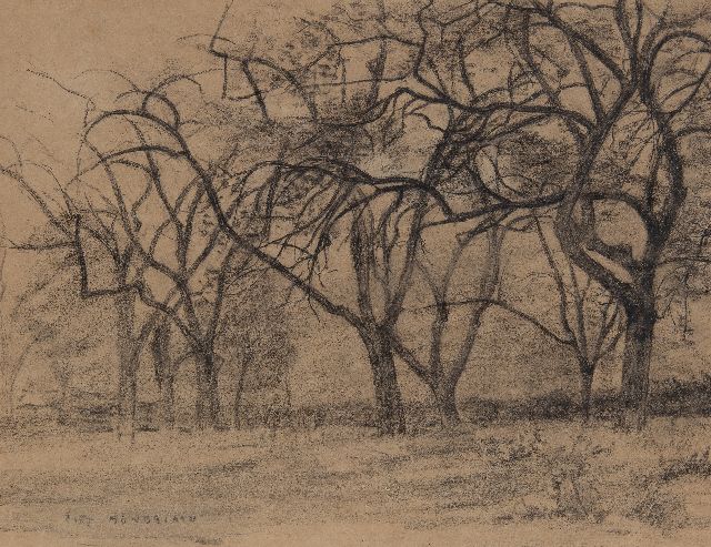 Piet Mondriaan | Bomengroep, zwart krijt op papier, 33,3 x 43,6 cm, gesigneerd l.o en te dateren ca. 1902-1905