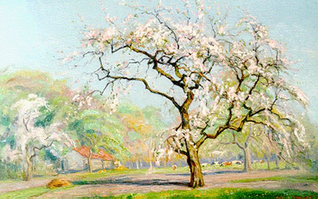 Johan Meijer | Bloesemboomgaard, olieverf op doek, 40,4 x 59,7 cm, gesigneerd r.o.