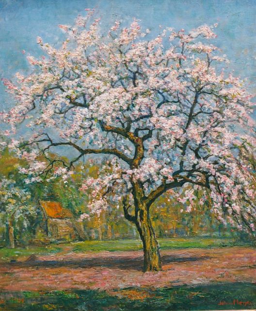 Johan Meijer | Bloeiende appelboom, olieverf op doek, 60,0 x 50,0 cm, gesigneerd r.o.