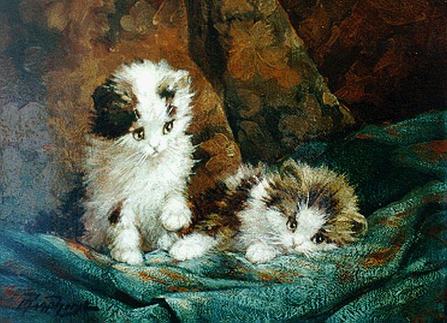 Cornelis Raaphorst | Twee katjes, olieverf op doek, 18,3 x 24,9 cm, gesigneerd l.o.