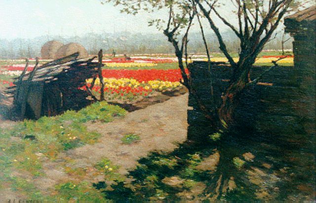 Anton Koster | Bloembollenvelden, olieverf op doek, 30,4 x 44,9 cm, gesigneerd l.o.