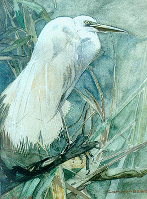 Sam van Beek | Witte reiger, aquarel op board, 33,0 x 25,5 cm, gesigneerd r.o.