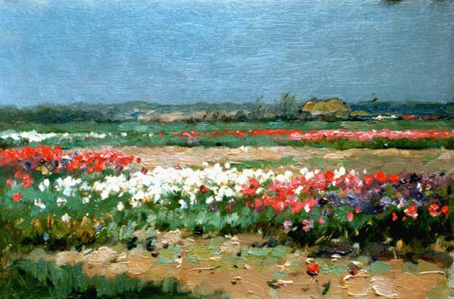 Aris Knikker | Bollenveld, olieverf op paneel, 23,1 x 34,9 cm