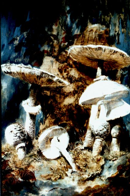 Theo Goedvriend | Paddestoelen, olieverf op paneel, 41,9 x 28,5 cm, gesigneerd r.o.