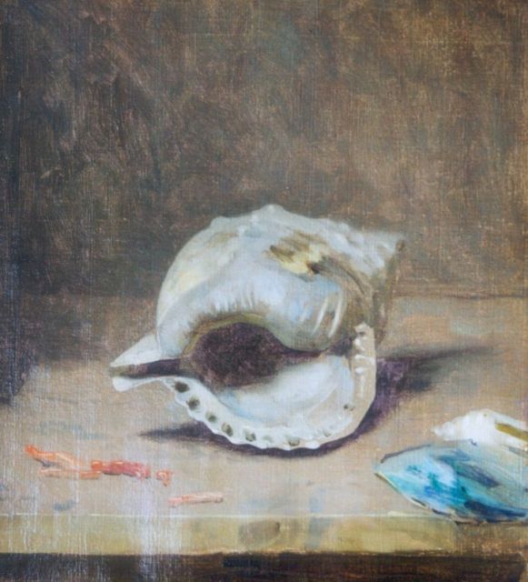 Gerrit Willem Dijsselhof | Schelp, olieverf op doek, 31,7 x 28,5 cm, gesigneerd r.o.
