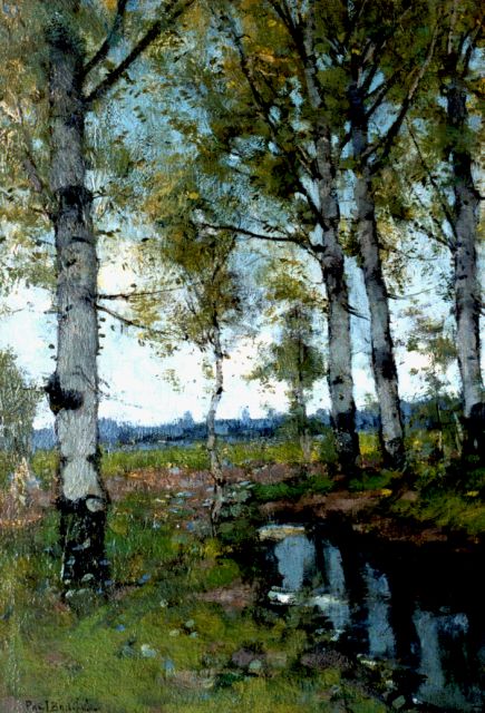 Paul Bodifée | Berken, olieverf op schildersboard, 46,5 x 32,4 cm, gesigneerd l.o.