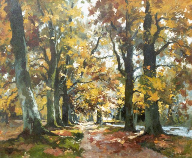 Jan van Vuuren | Herfstlandschap, olieverf op doek, 50,2 x 60,4 cm, gesigneerd r.o.