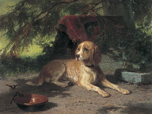 Conradijn Cunaeus | Retriever, olieverf op paneel, 34,7 x 46,1 cm, gesigneerd r.o.