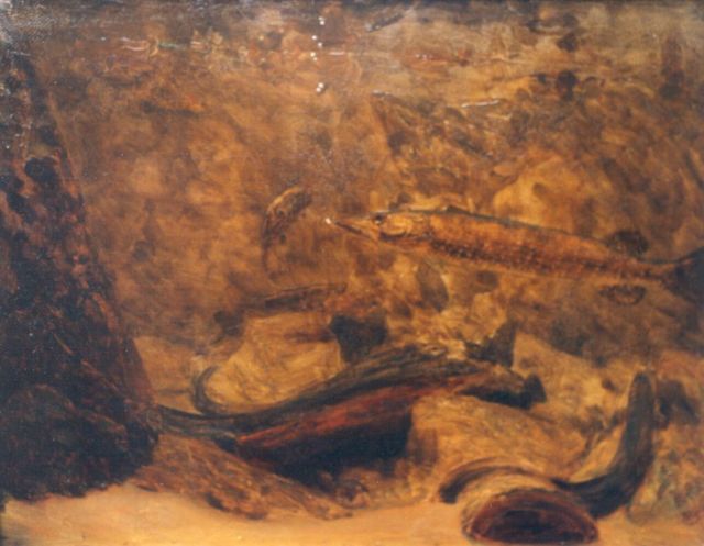 Gerrit Willem Dijsselhof | Vissen, aquarel op papier op board, 50,0 x 70,0 cm, gesigneerd monogram