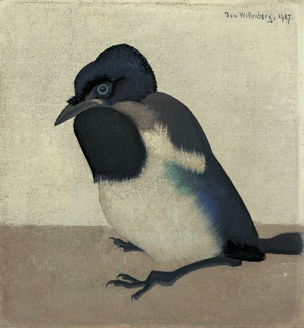 Jan Wittenberg | Jonge ekster, olieverf op doek op paneel, 17,0 x 16,0 cm, gesigneerd r.b. en gedateerd 1927