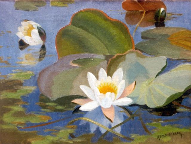 Dirk Smorenberg | Waterlelies, olieverf op doek, 30,5 x 40,5 cm, gesigneerd r.o.