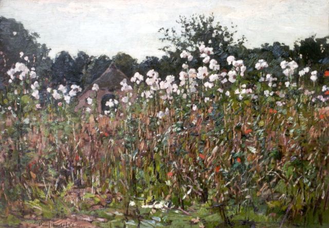 Paul Bodifée | Uitgebloeide distels, olieverf op schildersboard op paneel, 26,2 x 36,9 cm, gesigneerd l.o. en gedateerd 1913