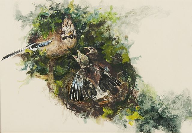 Rien Poortvliet | Vlaamse gaai haar jongen voedend, inkt, aquarel en gouache op papier, 24,0 x 34,0 cm, gesigneerd r.o.
