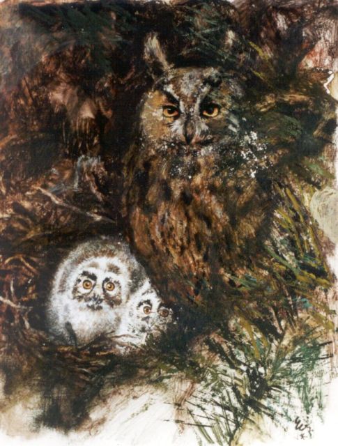 Rien Poortvliet | Uil met jongen, aquarel en gouache op papier, 29,9 x 24,1 cm, gesigneerd r.o.