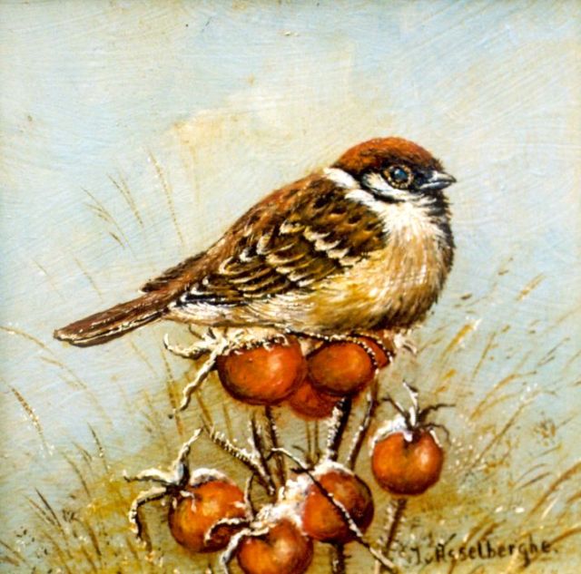 van Asselberghe | Ringmus, olieverf op paneel, 13,0 x 13,0 cm, gesigneerd r.o.