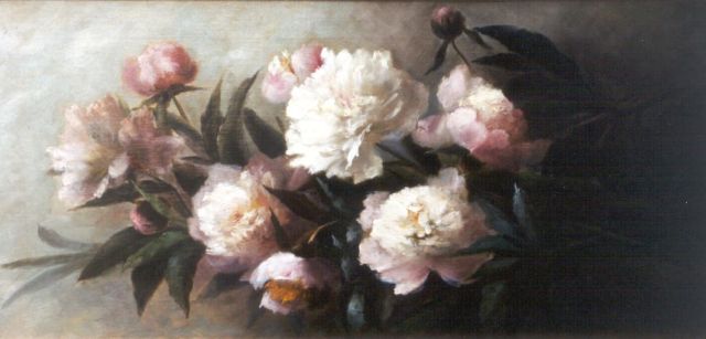Clara Stenis-Breuer | Stilleven van pioenrozen, olieverf op doek, 38,4 x 78,3 cm