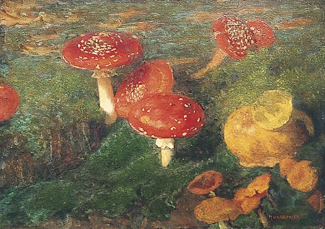 Marie Wandscheer | Vliegenzwammen, olieverf op paneel, 30,7 x 41,0 cm, gesigneerd r.o. Verkocht aan Historisch Museum Ede