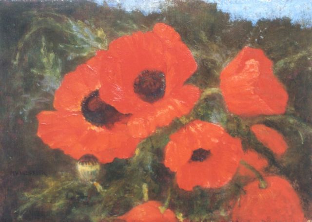Marie Wandscheer | Papavers, olieverf op paneel, 25,8 x 36,1 cm, gesigneerd l.o.