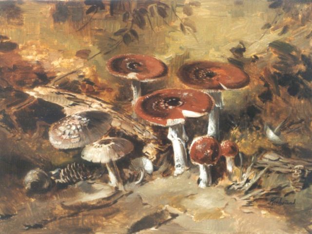 Theo Goedvriend | Paddestoelen, olieverf op doek, 60,2 x 80,0 cm, gesigneerd r.o.