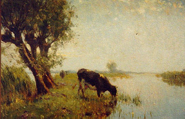 Gerard Altmann | Polderplas met wilg en koe, olieverf op doek, 50,0 x 40,0 cm, gesigneerd l.o.