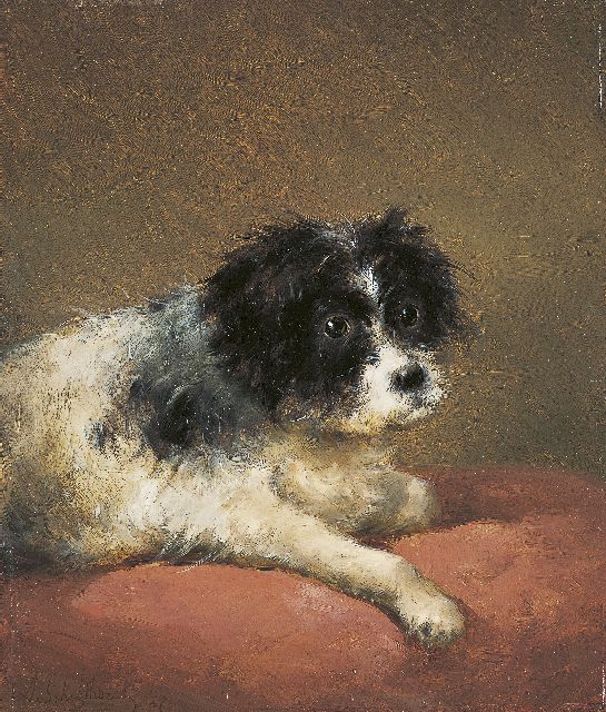 Andreas Schelfhout | Jonge terriër op kussen, olieverf op paneel, 32,1 x 27,3 cm, gesigneerd l.o. en gedateerd '47