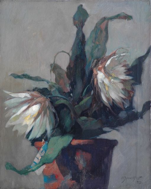 Hoff A.J. van 't | Bloeiende cactus in bloempot, olieverf op doek 50,3 x 40,5 cm, gesigneerd r.o. en gedateerd 1923