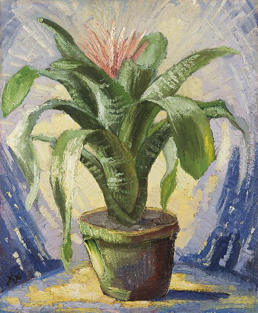 Jan Kruysen | Bromelia in aardewerken pot, olieverf op schildersboard, 45,8 x 37,8 cm, gesigneerd l.o. met monogram