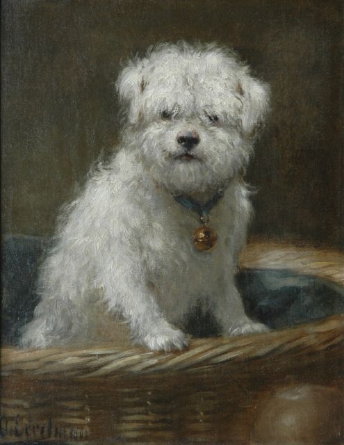 Otto Eerelman | Bichon in een mand, olieverf op doek, 34,9 x 27,4 cm, gesigneerd l.o.