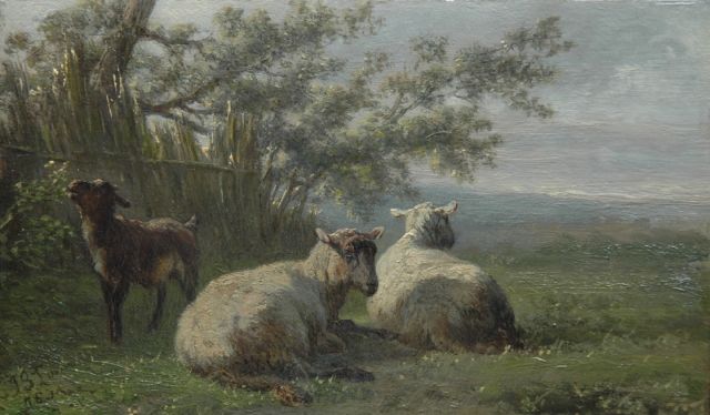 Jan Bedijs Tom | Schapen en geitje, olieverf op paneel, 10,4 x 17,4 cm, gesigneerd l.o. en gedateerd '75