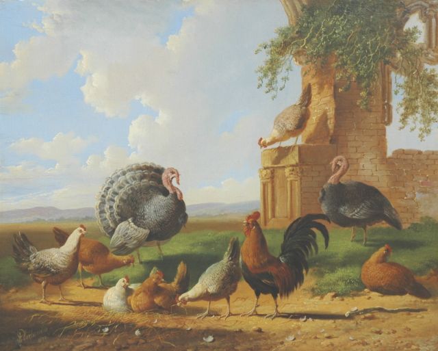 Albertus Verhoesen | Kalkoenen en pluimvee in een landschap, olieverf op paneel, 30,5 x 37,6 cm, gesigneerd l.o. en gedateerd 1870