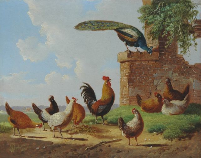 Albertus Verhoesen | Pluimvee en pauw bij een ruïne, olieverf op paneel, 13,2 x 16,7 cm, gesigneerd l.o. en gedateerd 1869