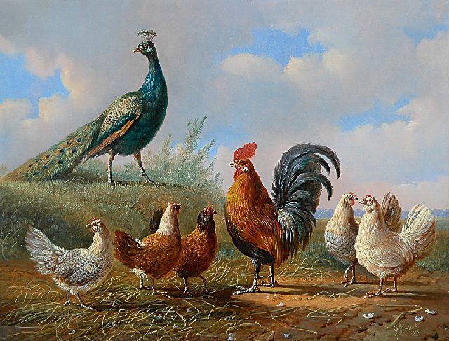 Albertus Verhoesen | Pauw, haan en hennen, olieverf op paneel, 25,2 x 33,1 cm, gesigneerd r.o. en gedateerd 1859
