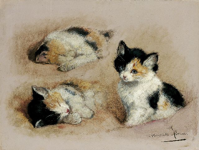 Henriette Ronner-Knip | Studie van ontwakend katje, olieverf op papier op paneel, 27,1 x 36,1 cm, gesigneerd r.o. met initialen en voluit