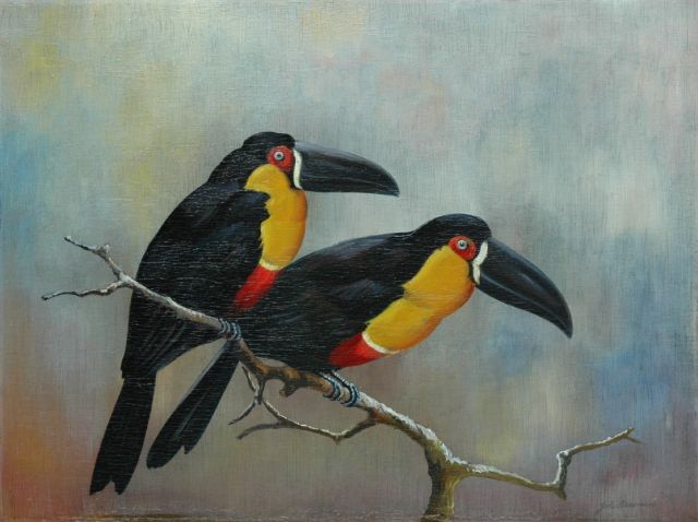 Johanna Pieneman | Twee toekans, olieverf op paneel, 30,1 x 40,1 cm, gesigneerd r.o.