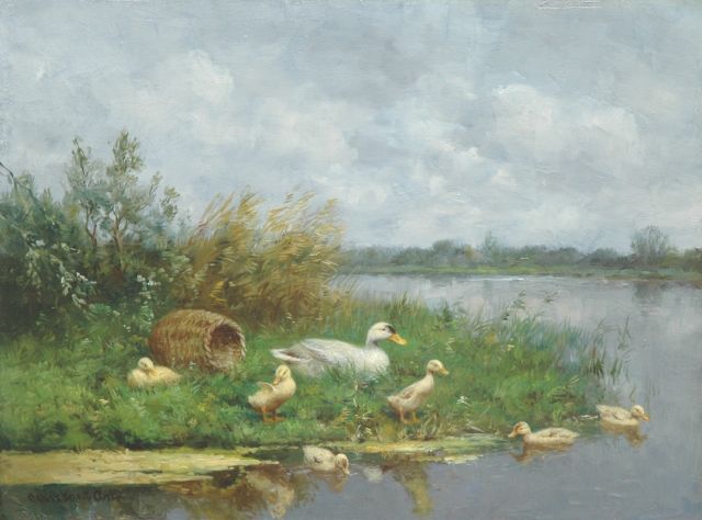 Constant Artz | Eend met kuikens bij een waterplas, olieverf op paneel, 30,1 x 40,1 cm, gesigneerd l.o.